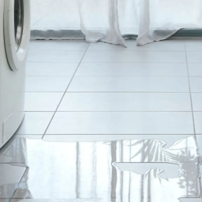 Appliance Leak Cleanup in La Riviera, CA