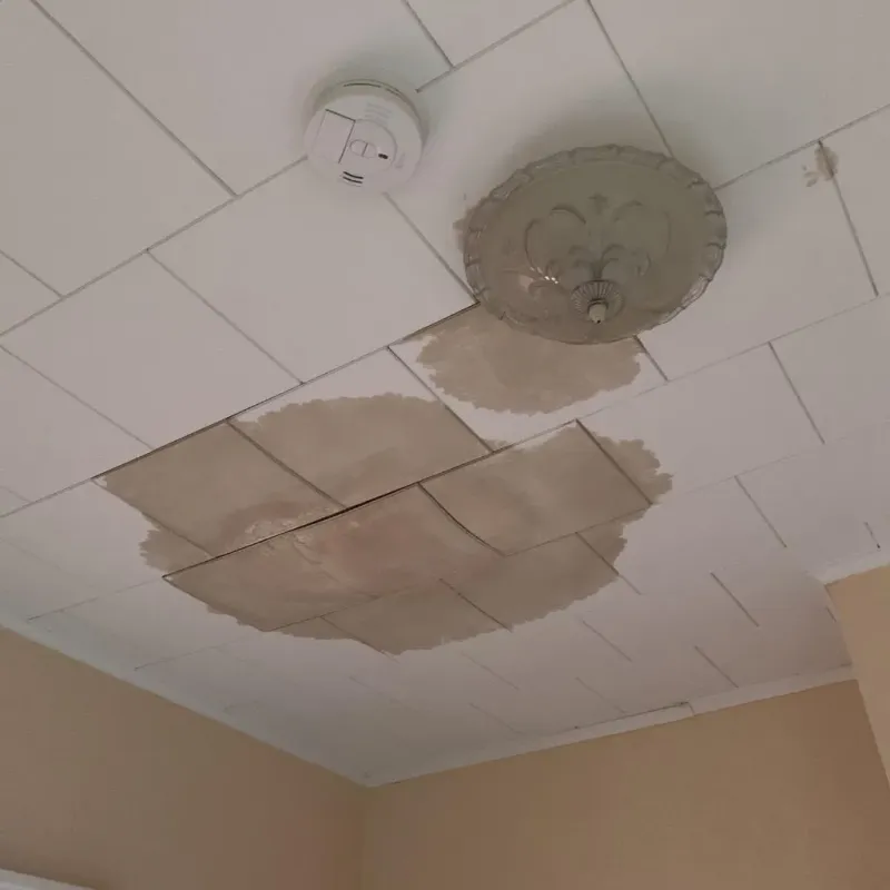 Ceiling Water Damage Repair in La Riviera, CA